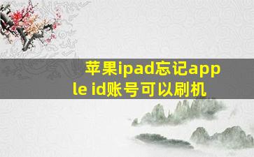 苹果ipad忘记apple id账号可以刷机